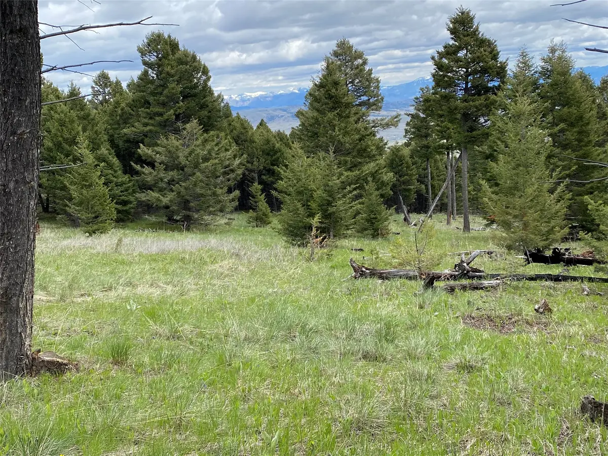 6750- 4A Turk Road, Helena, MT 59602 - #1