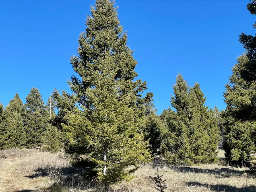6750- 4A Turk Road, Helena, MT 59602 - #3