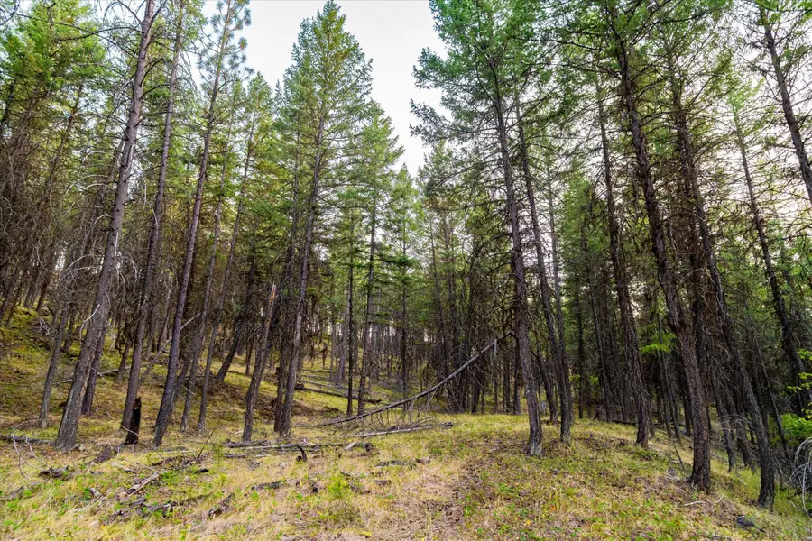 NHN Black Lake Road, Rexford, MT 59930 - #2