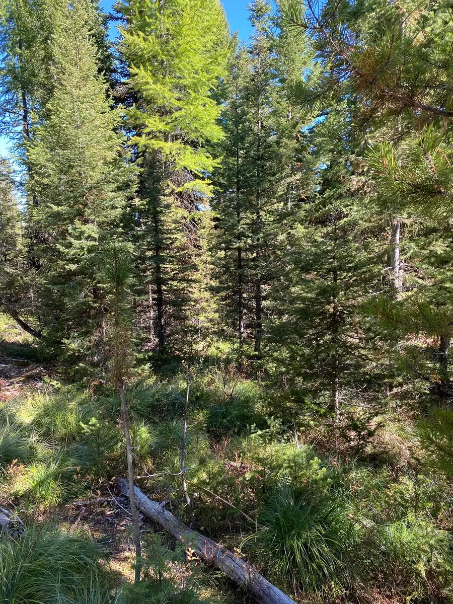 NHN Mill Creek Road, Frenchtown, MT 59834 - #2