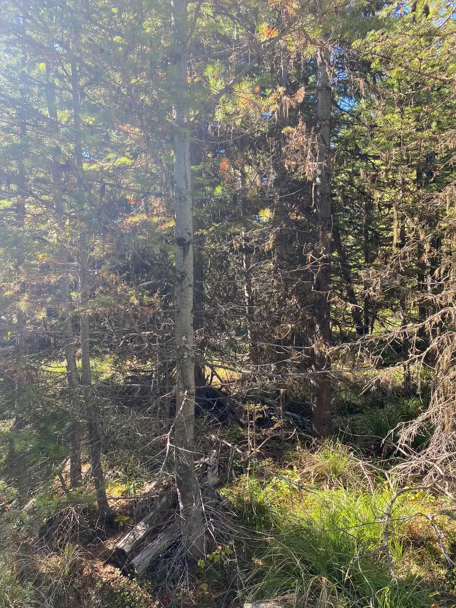 NHN Mill Creek Road, Frenchtown, MT 59834 - #3