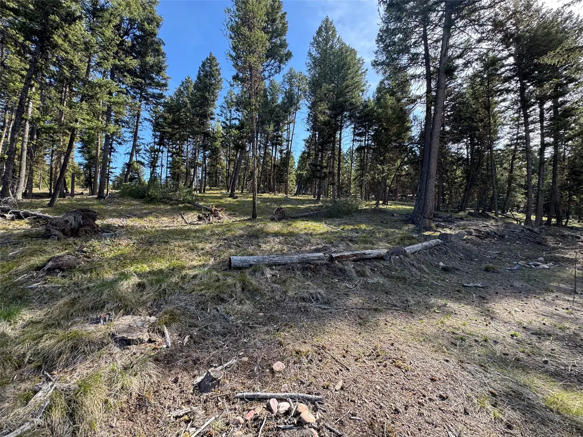 349 Seclusion Point, Seeley Lake, MT 59868 - #1