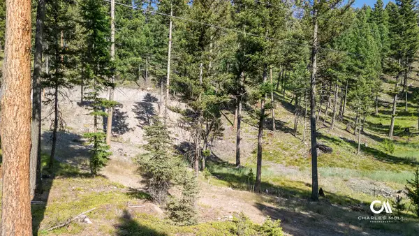 170 Leota Peak Court, Seeley Lake, MT 59868