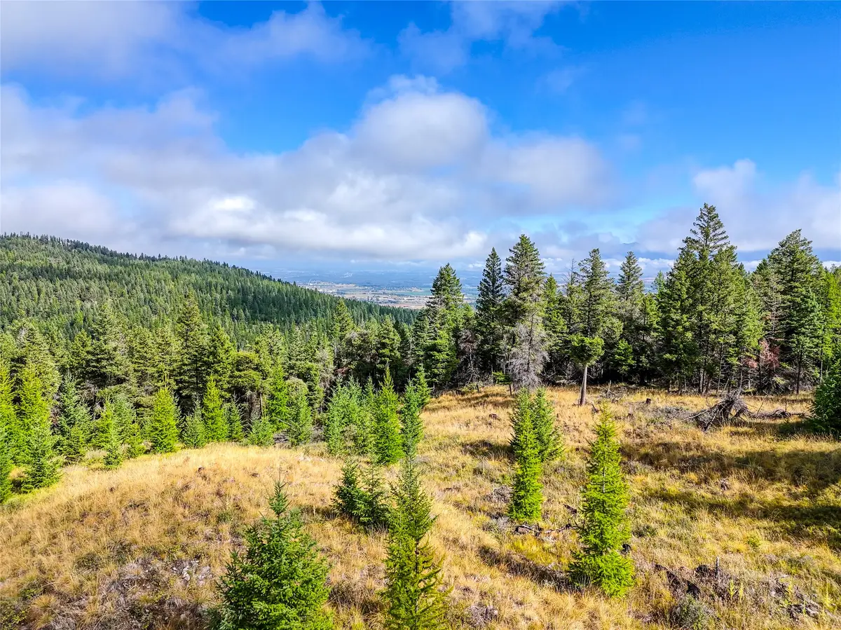 NHN Buffalo Lane, Somers, MT 59932 - #1