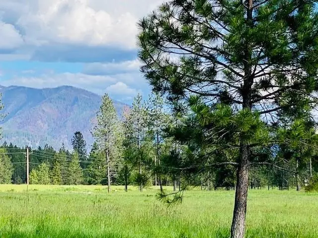 21 Cabinet View, Trout Creek, MT 59874 - #1