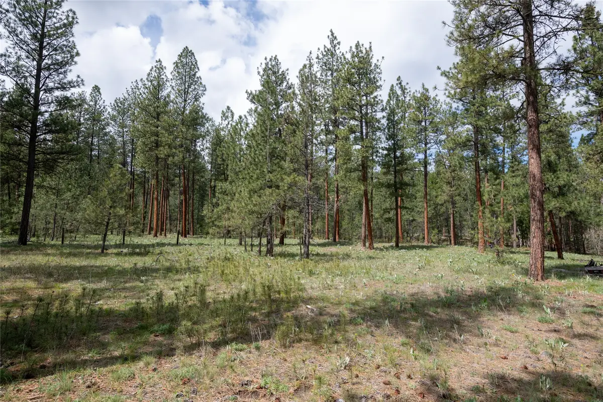 5508 Trenk Way, Florence, MT 59833 - #1