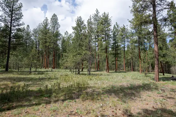 5508 Trenk Way, Florence, MT 59833
