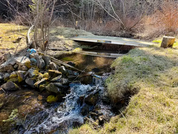 4220 Denton Gulch Road, Wolf Creek, MT 59648