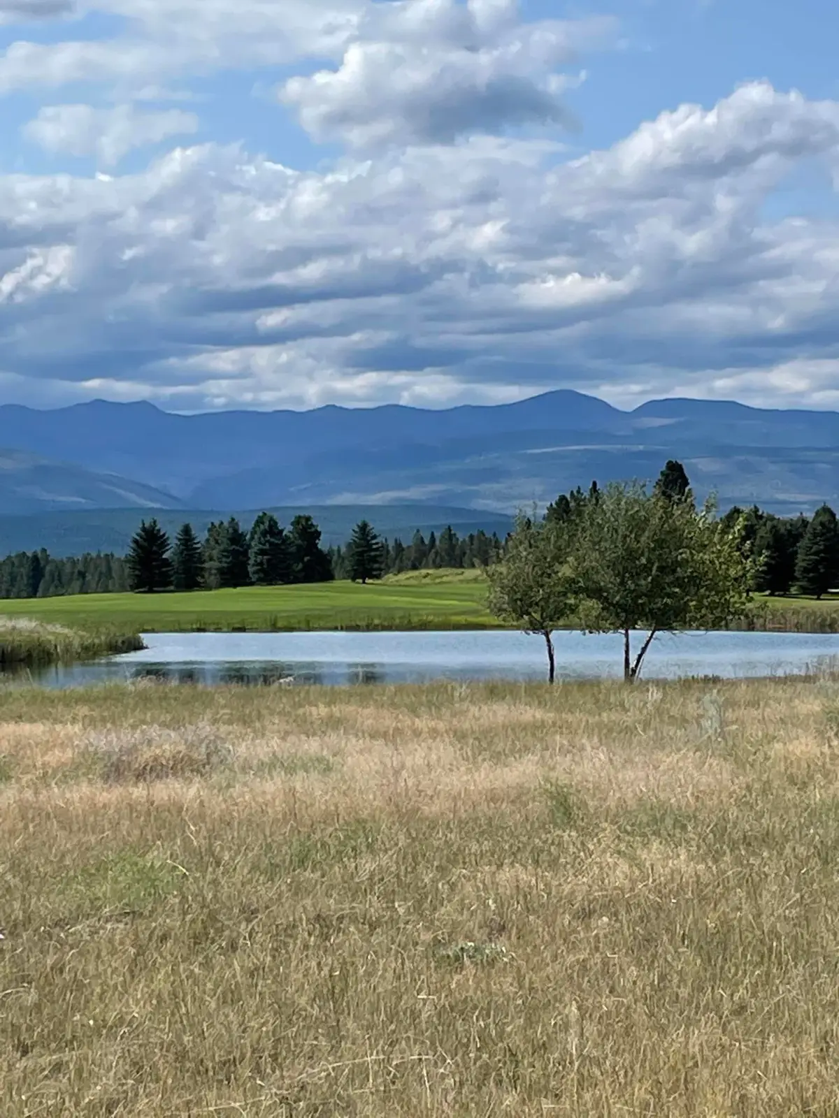 286 Wilderness Club Drive, Eureka, MT 59917 - #1