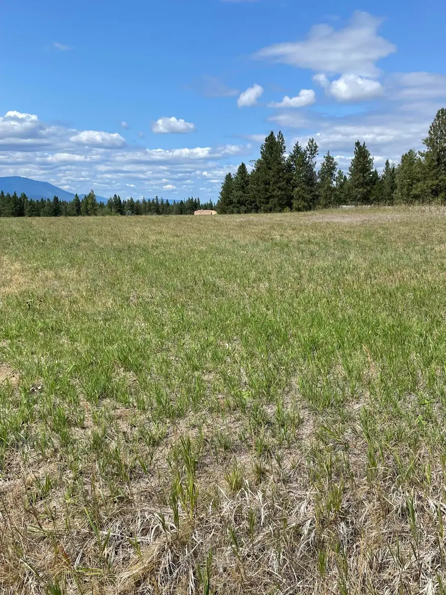 286 Wilderness Club Drive, Eureka, MT 59917 - #2