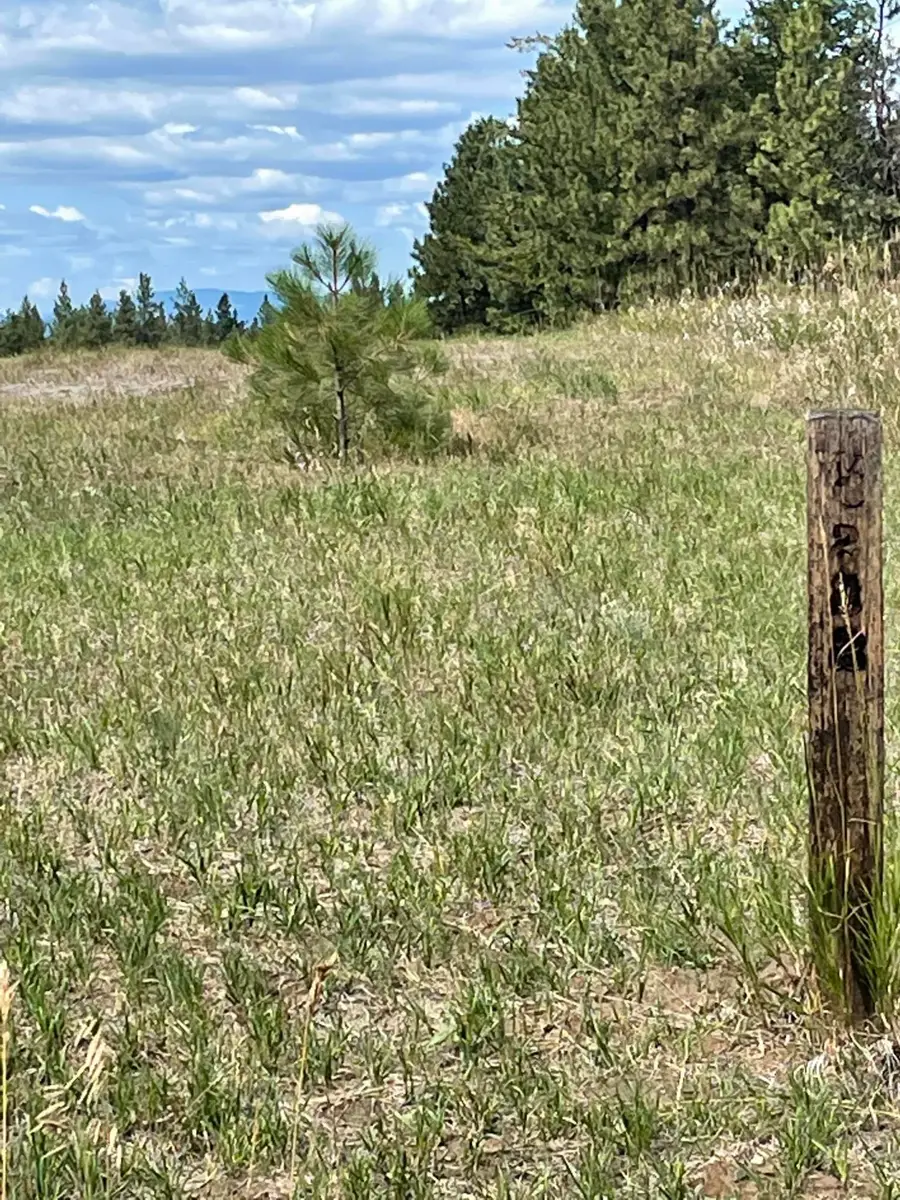 286 Wilderness Club Drive, Eureka, MT 59917 - #3
