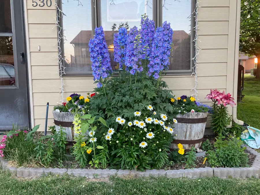 530 Coventry Court, Helena, MT 59601 - #2