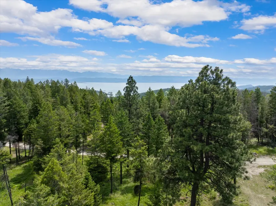 460 Buffalo Lane, Somers, MT 59932 - #2