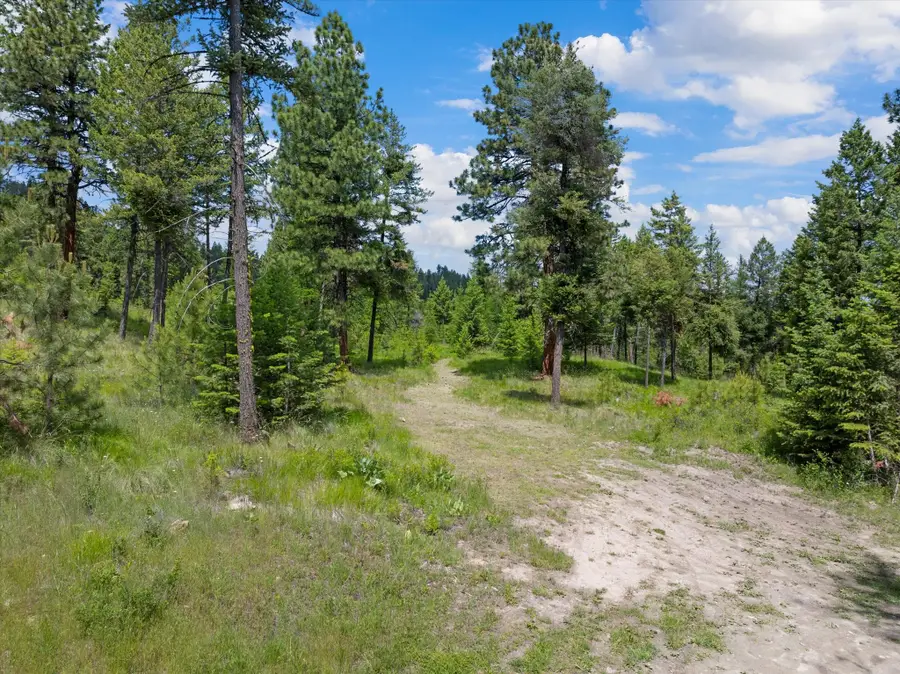 460 Buffalo Lane, Somers, MT 59932 - #3