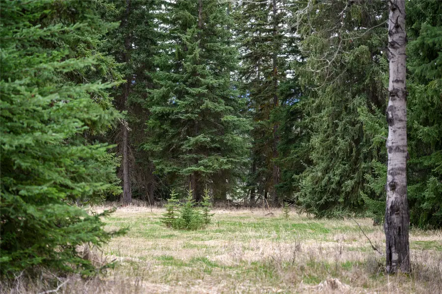 Nhn Browns Meadow Road, Kila, MT 59920 - #3