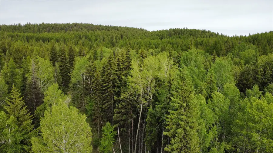NHN Soaring Eagle Trail, Fortine, MT 59918 - #2