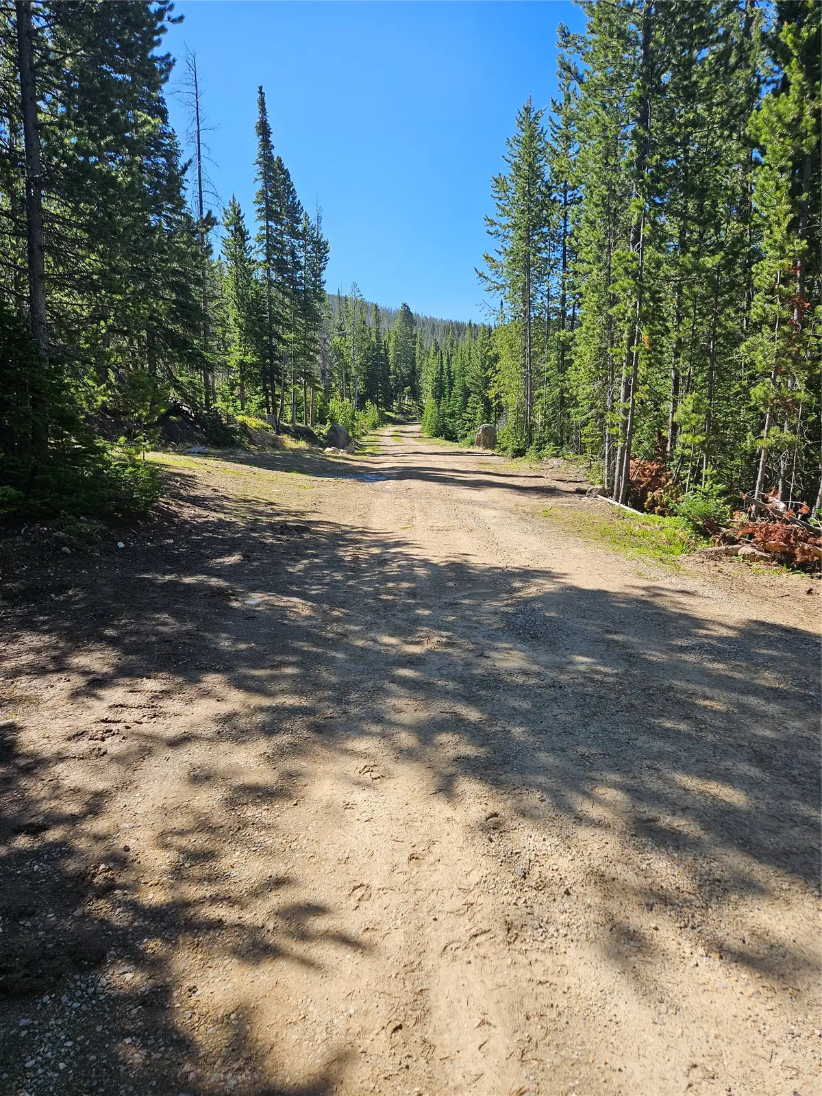 7524 Lower Telegraph Creek Road, Elliston, MT 59728 - #1