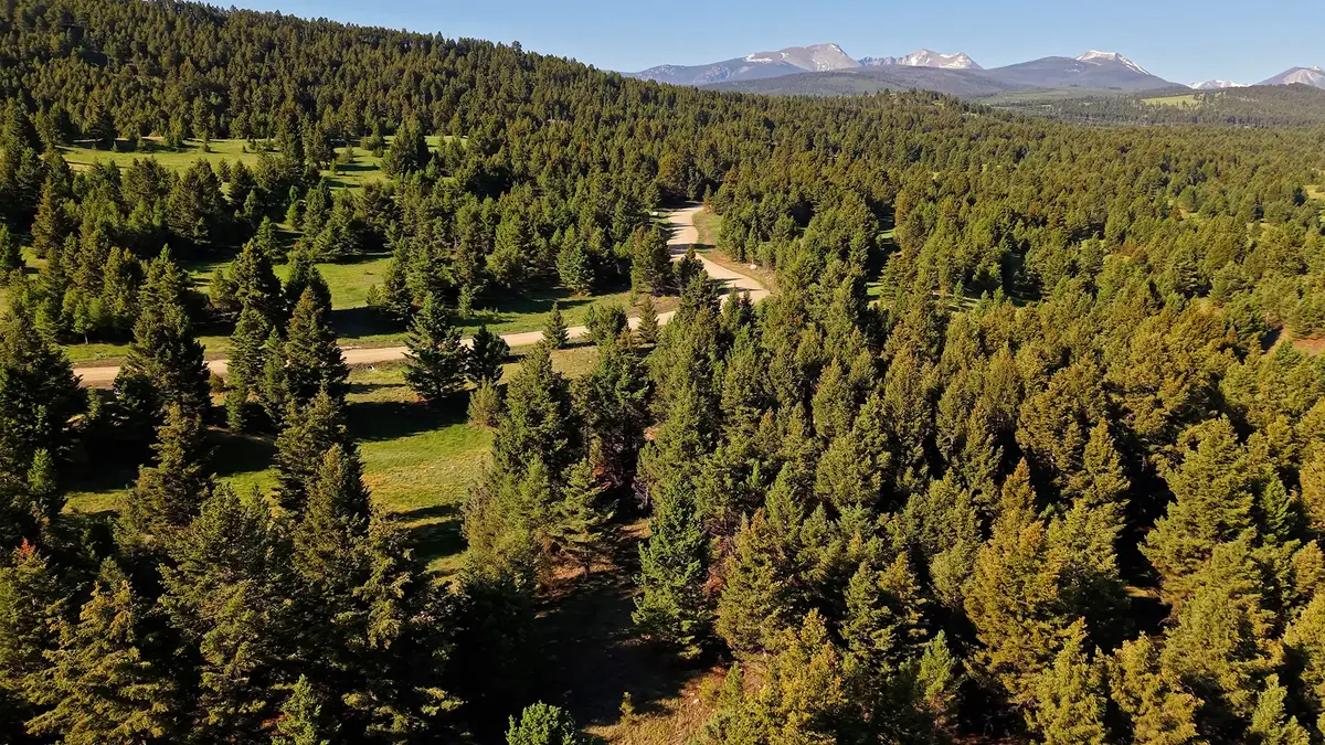 NHN Lot 2 Phase 3A Dolus Lakes Road #Lot 2, Deer Lodge, MT 59722 - #1