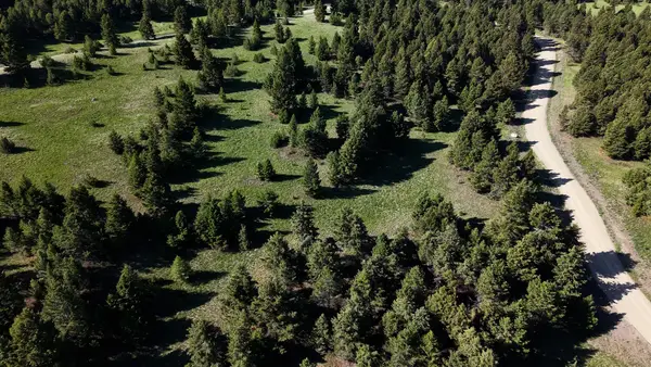 NHN Lot 6 Phase 3A Dolus Lake Road #Lot 6, Deer Lodge, MT 59722