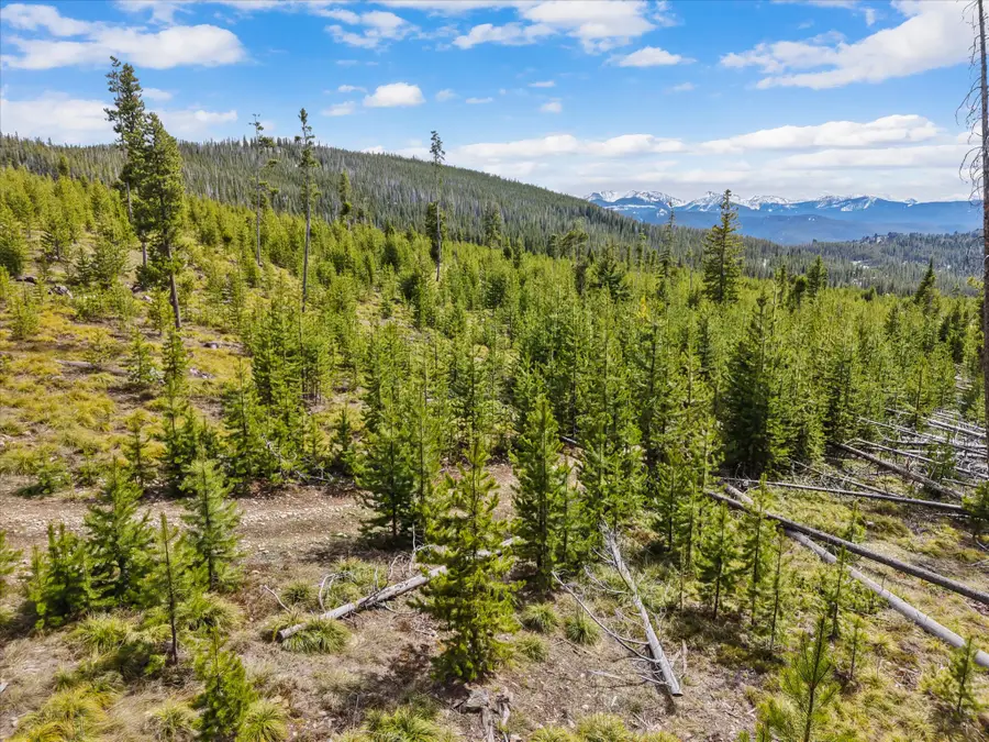 676 Ore Loop, Anaconda, MT 59711 - #2
