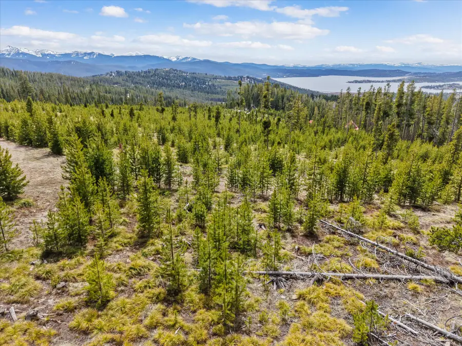 676 Ore Loop, Anaconda, MT 59711 - #3