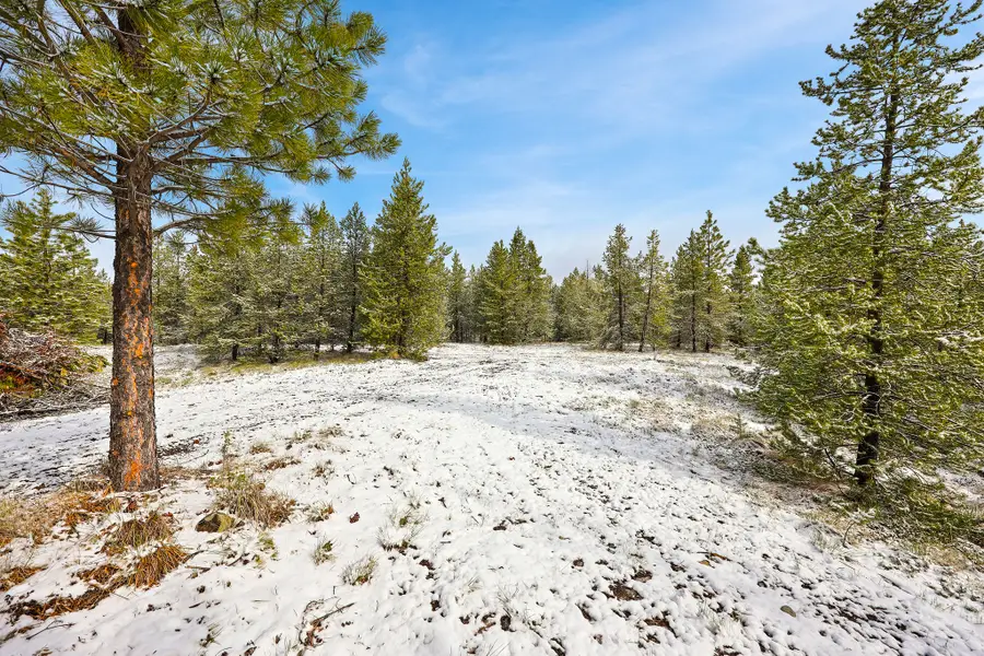 156 Badger Hollow Trail, Marion, MT 59925 - #2