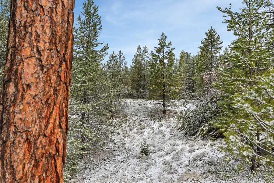 156 Badger Hollow Trail, Marion, MT 59925 - #3