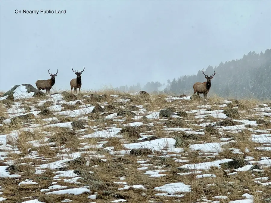 Lot 11 Quintana Lane, Boulder, MT 59632 - #3