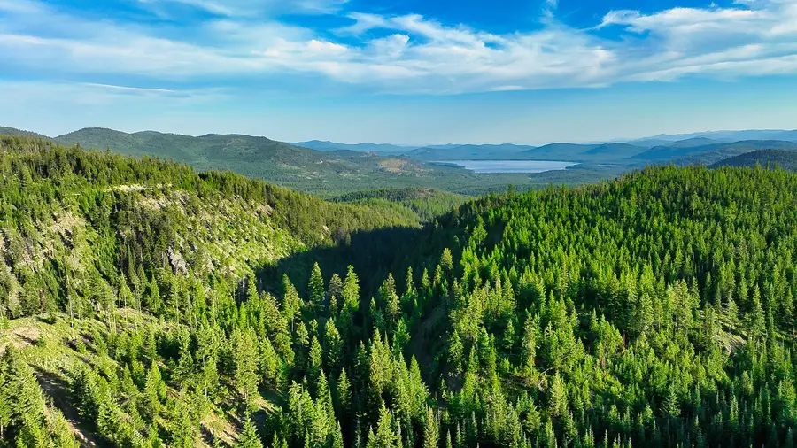 Nhn Little Bitterroot Overlook, Marion, MT 59925 - #2