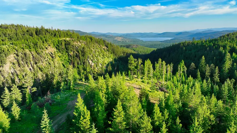 Nhn Little Bitterroot Overlook, Marion, MT 59925 - #3