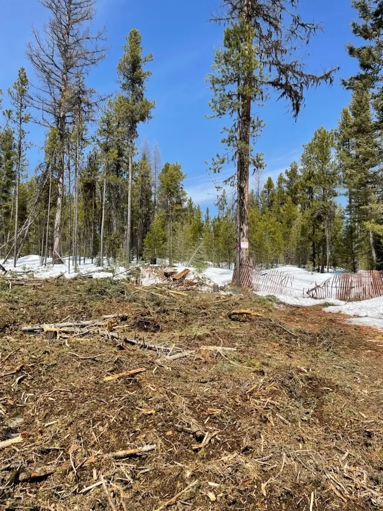 NHN Dirty Ike Creek Road, Clinton, MT 59825 - #1
