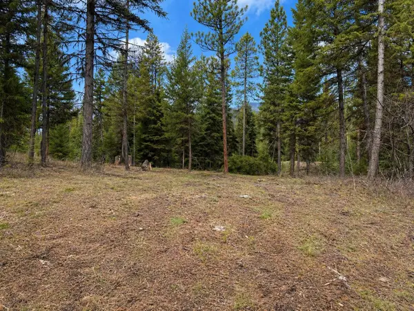 80 Blaney Lane #Lot-31, Kila, MT 59920