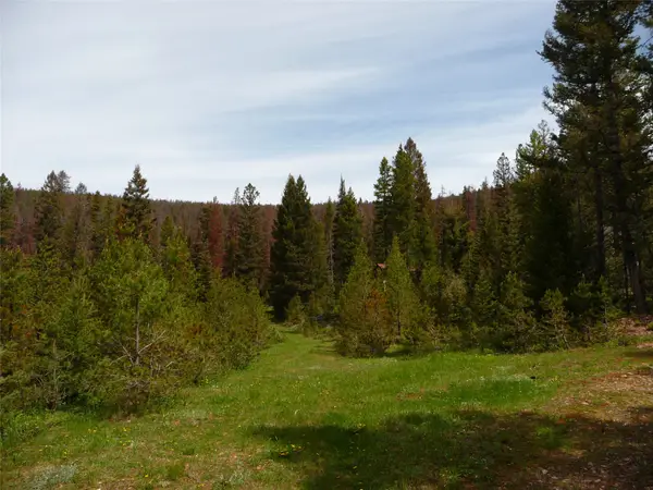 263 Wild Hill Lane, Lincoln, MT 59639