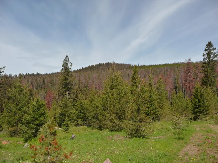 263 Wild Hill Lane, Lincoln, MT 59639 - #2