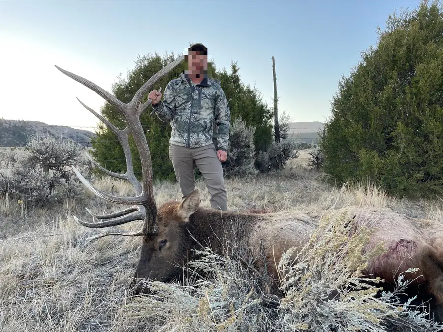 1847 Maudlow Road, Belgrade, MT 59714 - #3