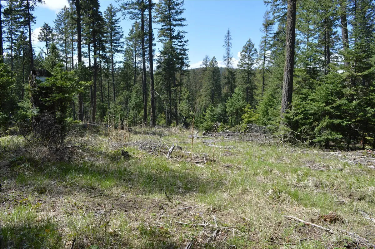 200 Whitefish Hills Drive, Whitefish, MT 59937 - #1