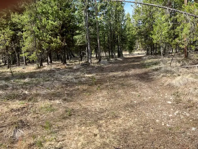 178 Idaho Hill Road, Marion, MT 59925 - #2
