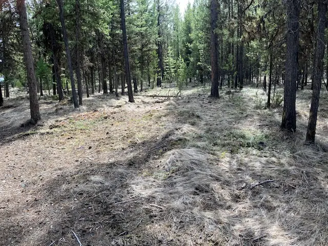 178 Idaho Hill Road, Marion, MT 59925 - #3