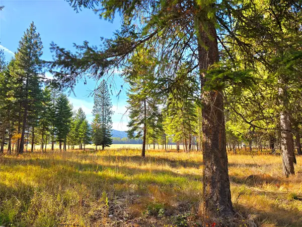 19 Faro Lane, Trout Creek, MT 59874