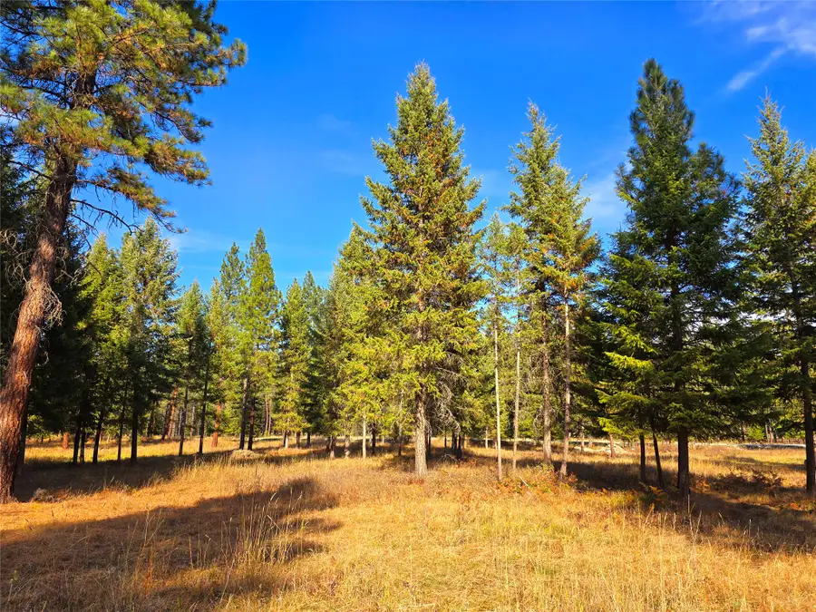 19 Faro Lane, Trout Creek, MT 59874 - #2