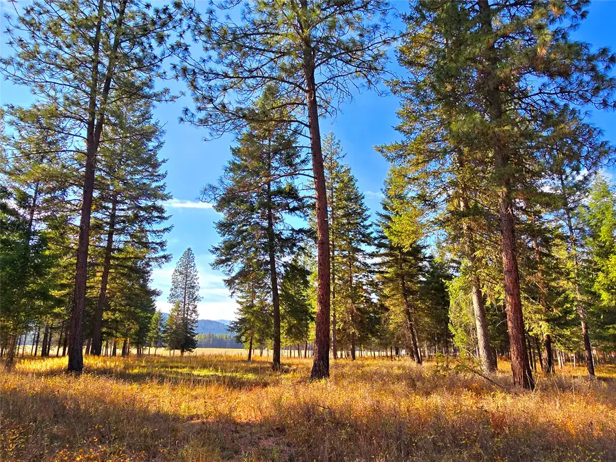 19 Faro Lane, Trout Creek, MT 59874 - #3