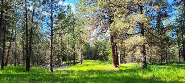 131 Break Road, Libby, MT 59923
