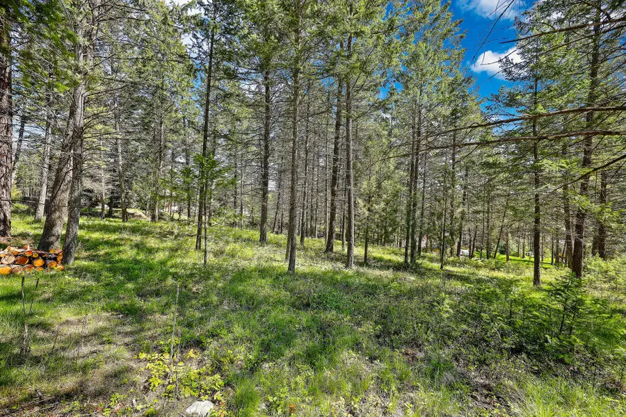 267 Lakeview Drive, Lakeside, MT 59922 - #3