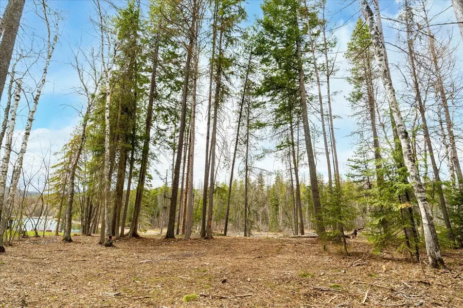 518 Eastman Drive, Bigfork, MT 59911 - #3