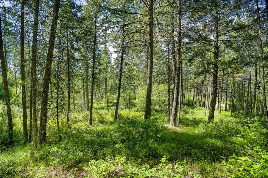 121 Pinto Trail, Bigfork, MT 59911 - #2