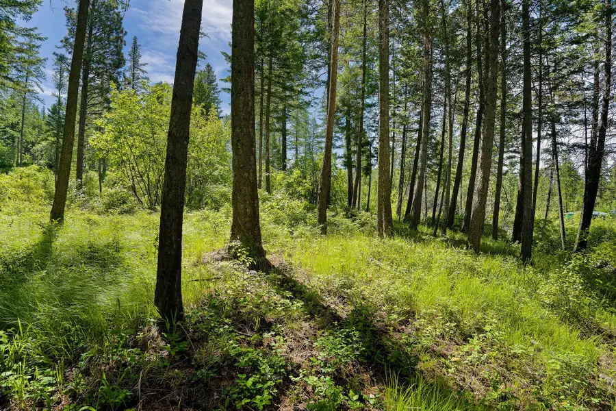 121 Pinto Trail, Bigfork, MT 59911 - #3