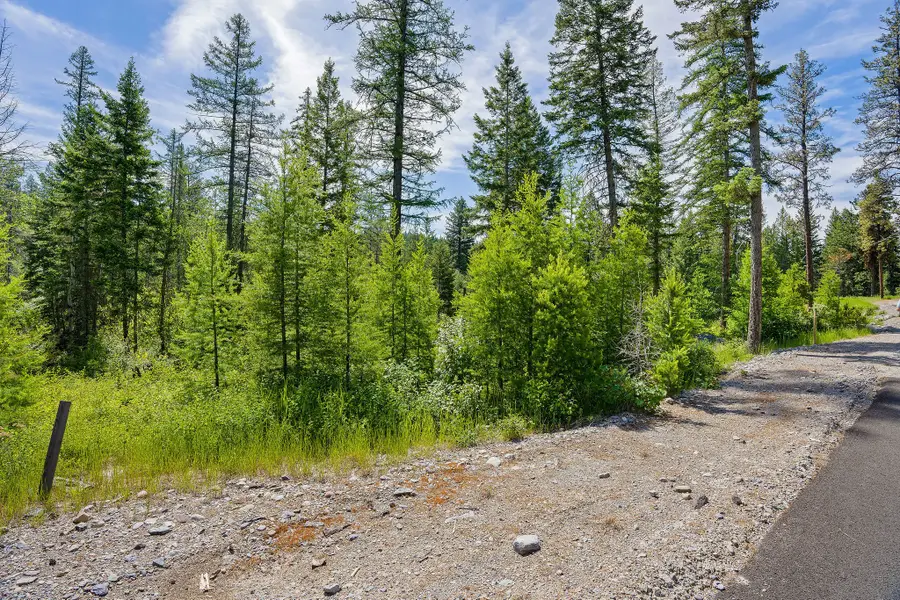 429 Chief Cliff Trail, Bigfork, MT 59911 - #3