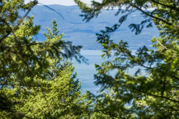 345 Chief Cliff Trail, Bigfork, MT 59911