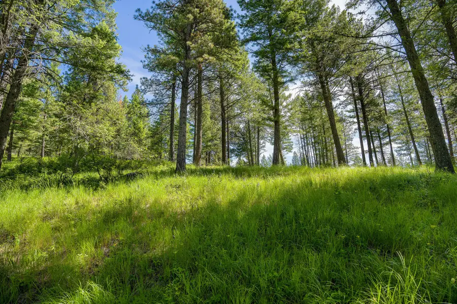 345 Chief Cliff Trail, Bigfork, MT 59911 - #3