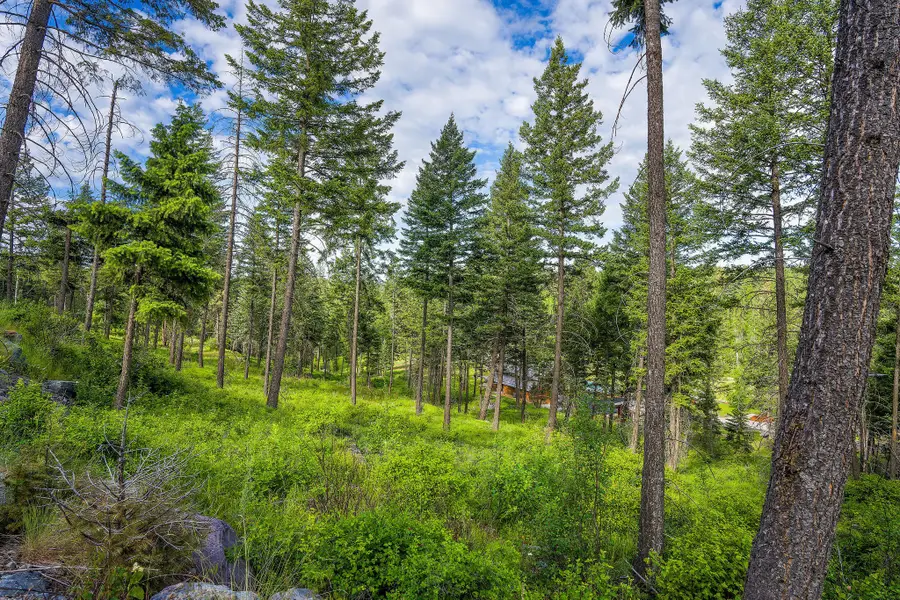 16 Bridle Court, Bigfork, MT 59911 - #3